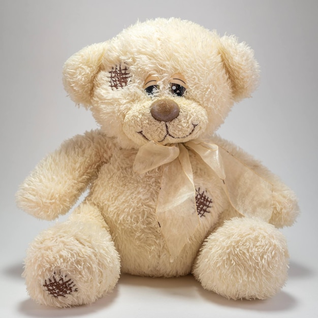 Sunman Sevimli Peluş Ayı 60 cm
