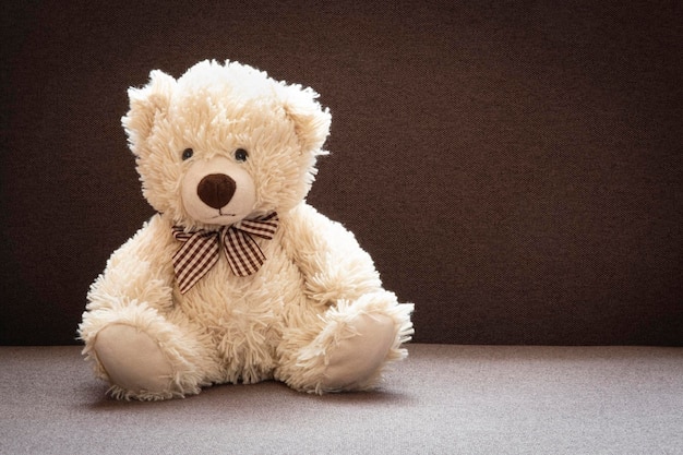 Sunman Sevimli Peluş Ayı 60 cm