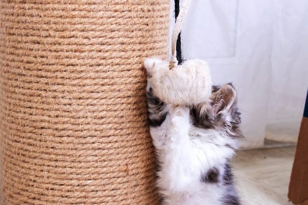 Trixie Sisal Kaplı Kedi Tırmalama Tahtası